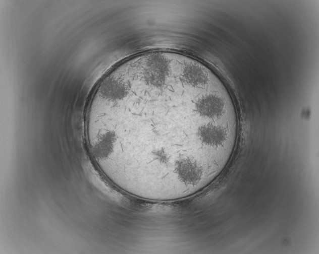 X0000112820890200909111320