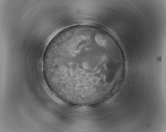 X0000112820891200909111320