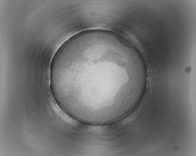 X0000112820892200909111320