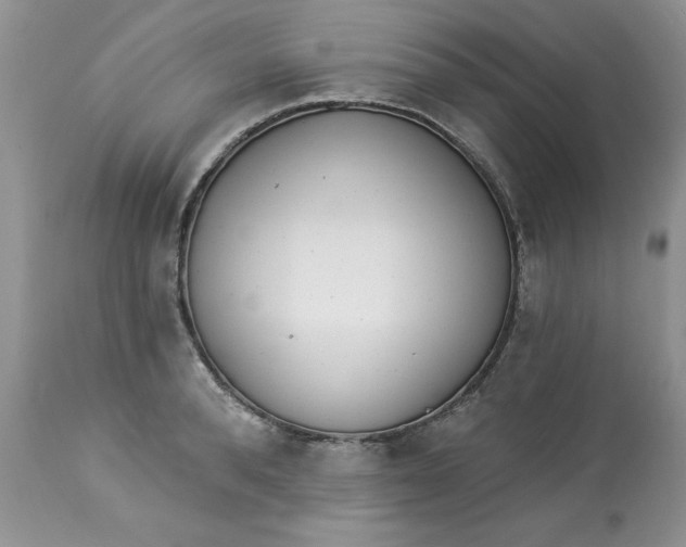 X0000112820896200909111319