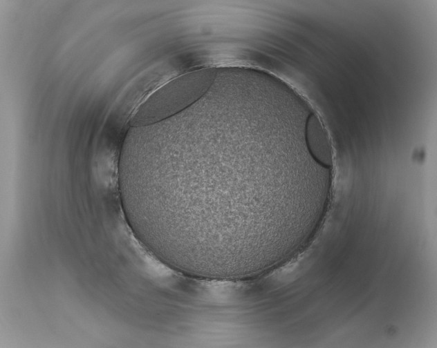 X0000112820897200909111319