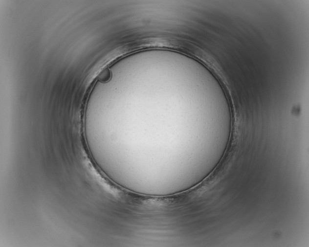 X0000112820898200909111319