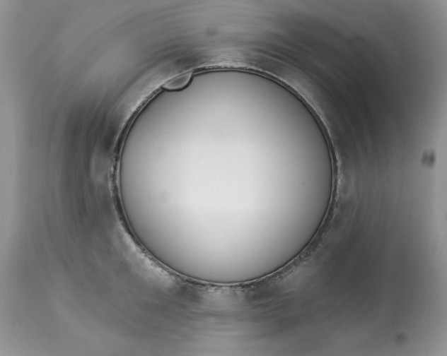 X0000112820901200909111319