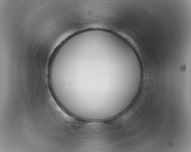 X0000112820902200909111319