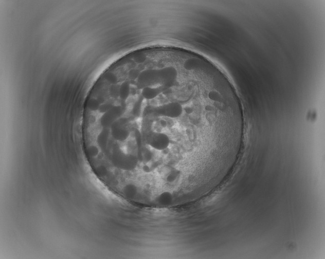 X0000112820903200909111319