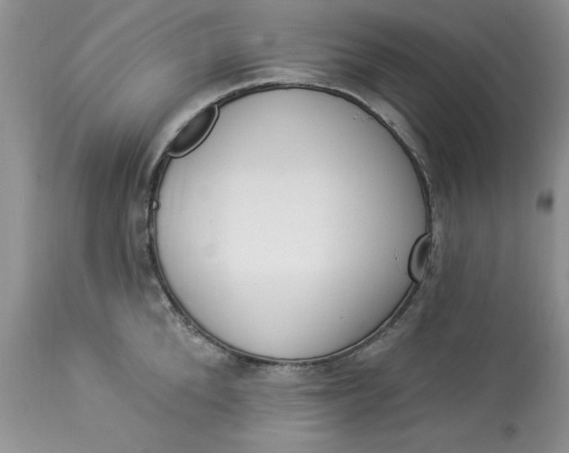 X0000112820904200909111319