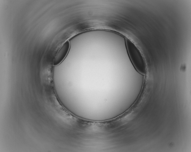 X0000112820905200909111319