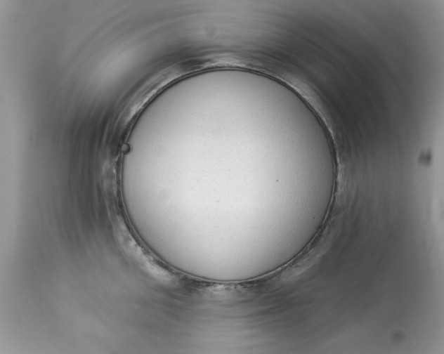 X0000112820906200909111319