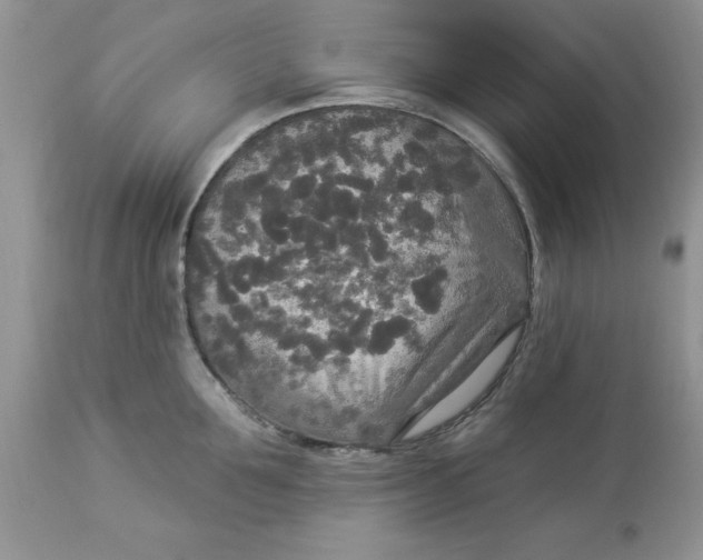 X0000112820907200909111319