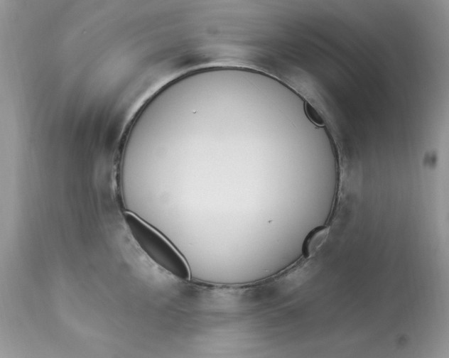 X0000112820908200909111319