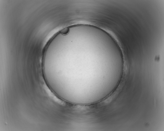 X0000112820910200909111319