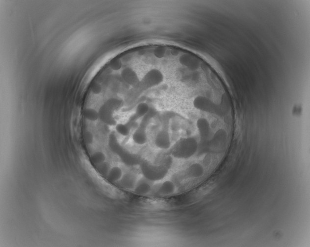 X0000112820911200909111319