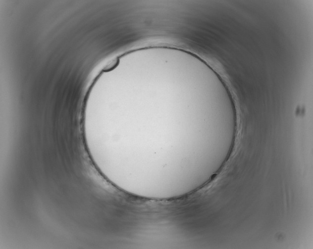 X0000112820912200909111319