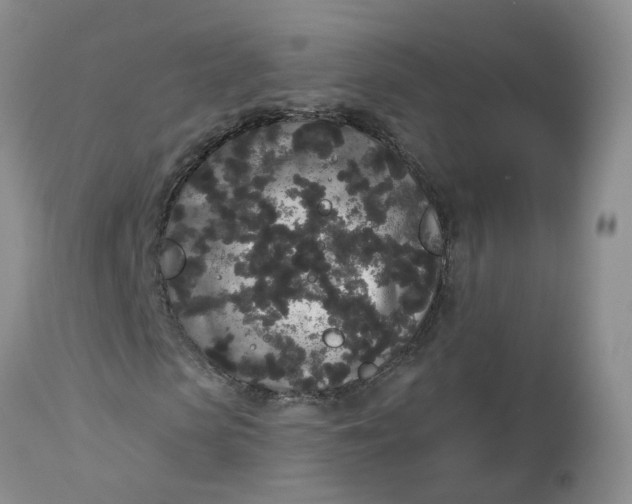 X0000112820913200909111318