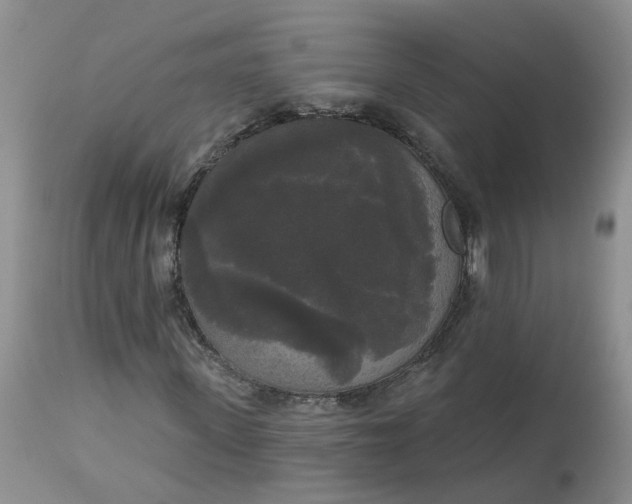 X0000112820915200909111318