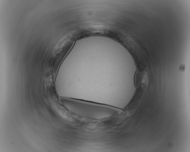 X0000112820916200909111318