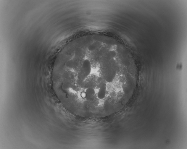 X0000112820917200909111318