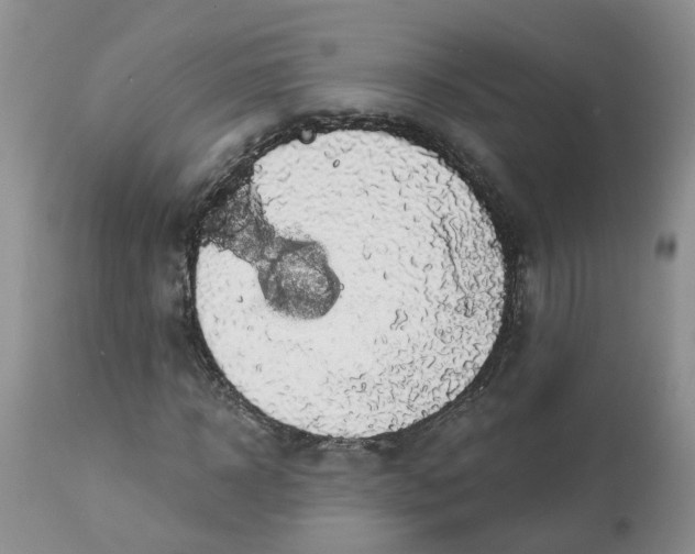 X0000112820918200909111319