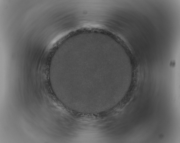 X0000112820919200909111319