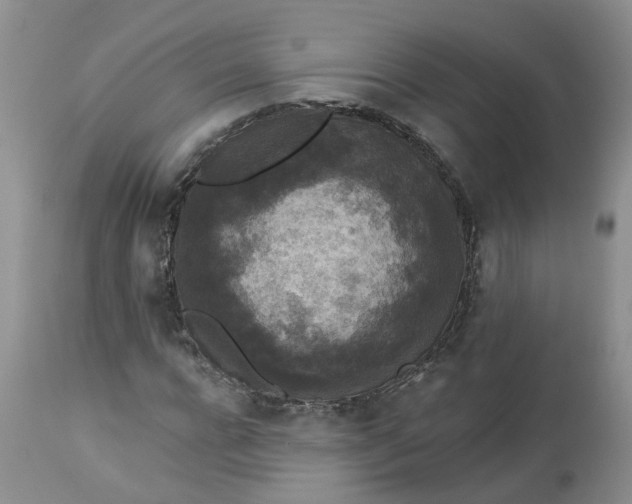 X0000112820920200909111319