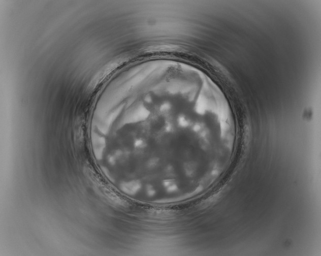 X0000112820921200909111319