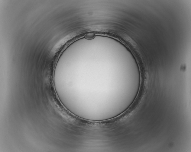 X0000112820922200909111319