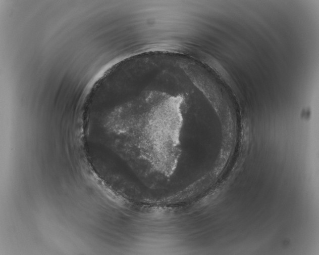 X0000112820923200909111319