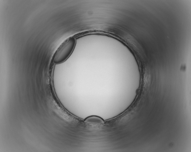 X0000112820924200909111319