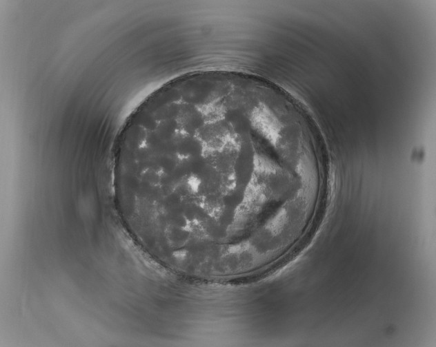 X0000112820925200909111319