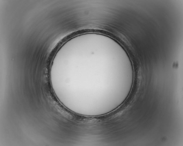 X0000112820926200909111319