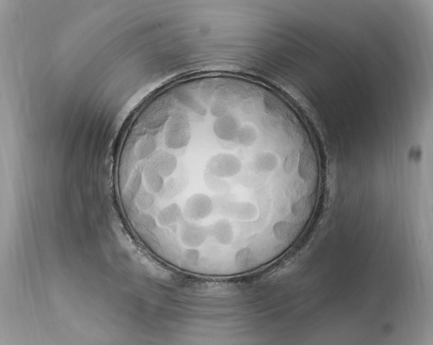 X0000112820933200909111319