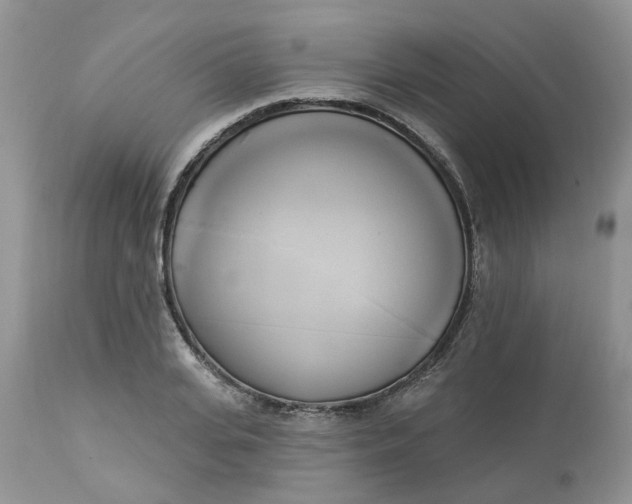 X0000112820935200909111319