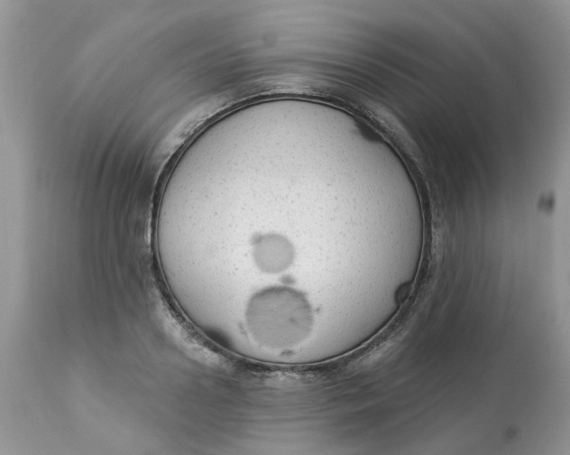 X0000112820938200909111319