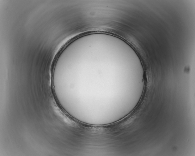 X0000112820940200909111319