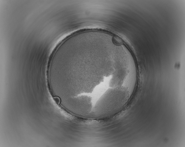 X0000112820943200909111319