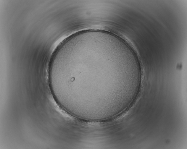 X0000112820944200909111319