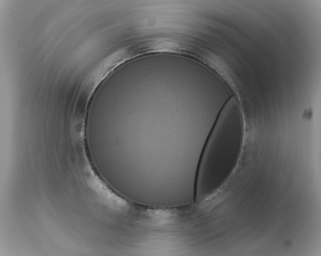 X0000112820946200909111319