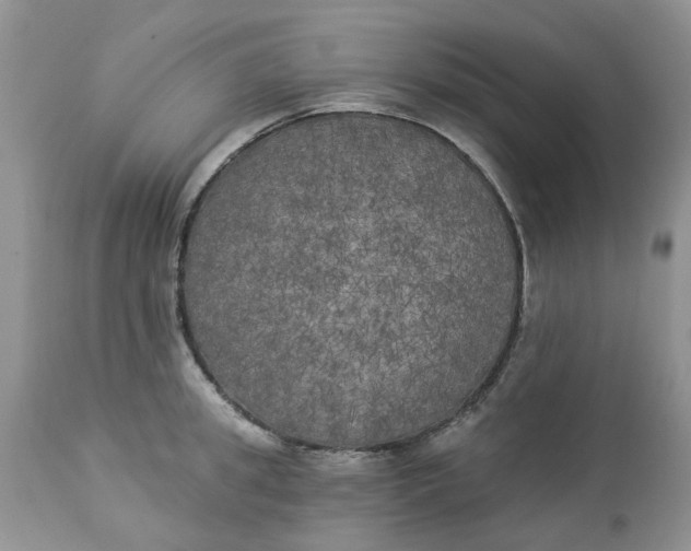 X0000112820949200909111319