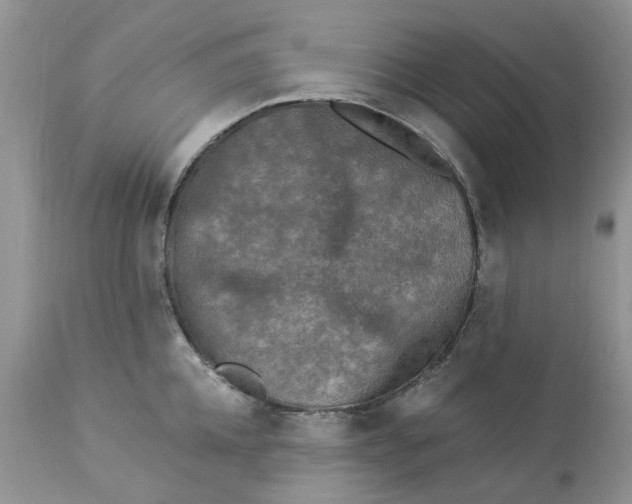 X0000112820952200909111319