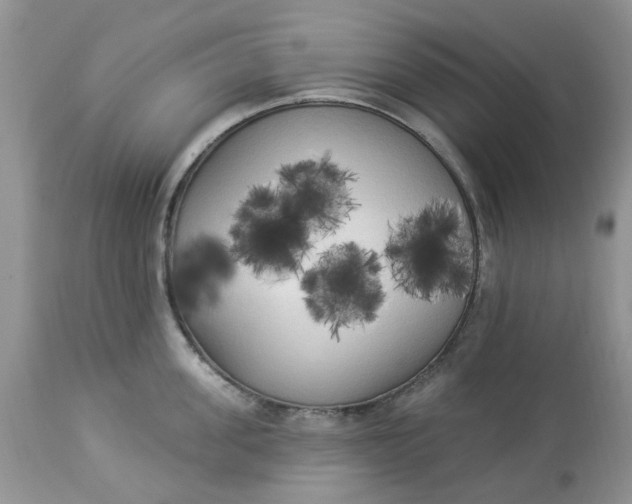 X0000112820955200909111319