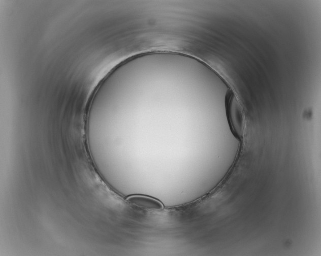 X0000112820956200909111319