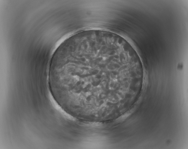 X0000112820957200909111319