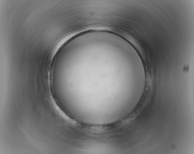 X0000112820959200909111319