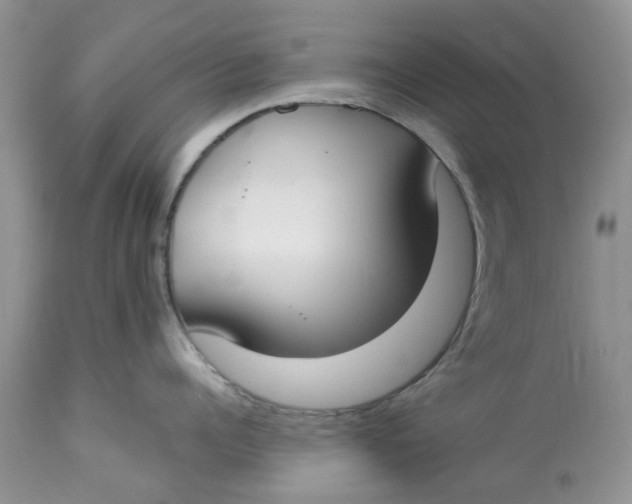 X0000112820960200909111319