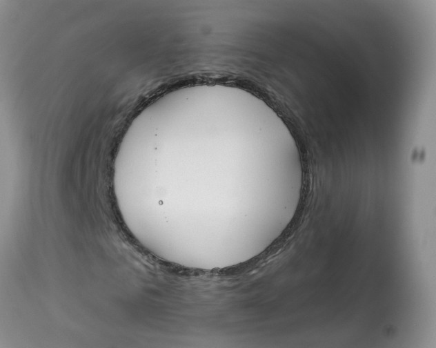 X0000112820961200909111318