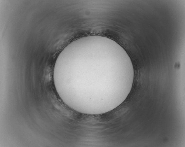 X0000112820962200909111318