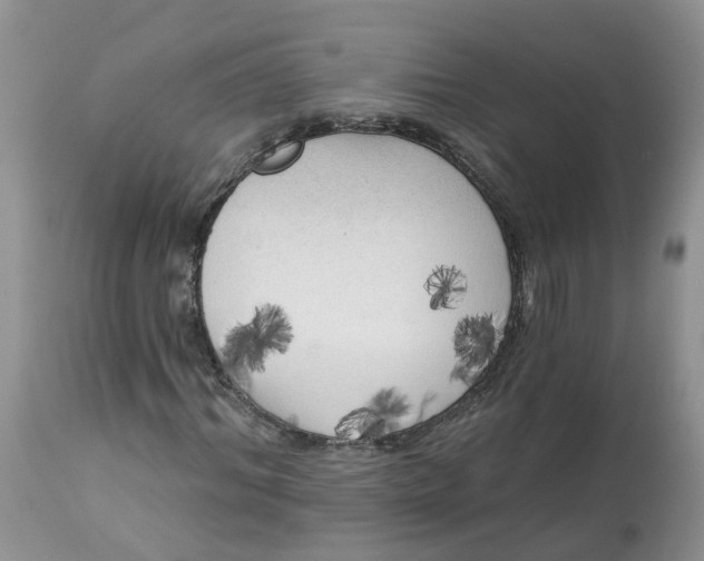 X0000112820964200909111318