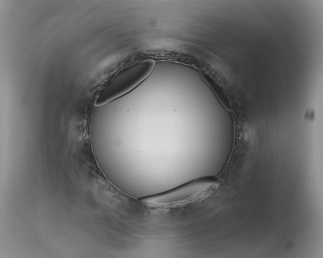 X0000112820965200909111318