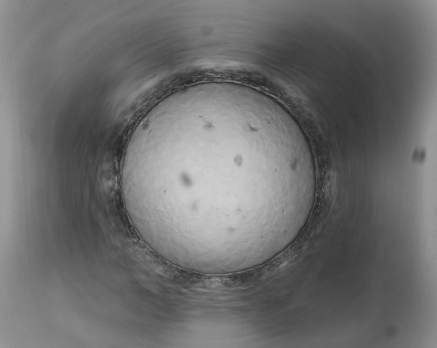 X0000112820966200909111318