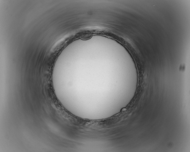 X0000112820967200909111318